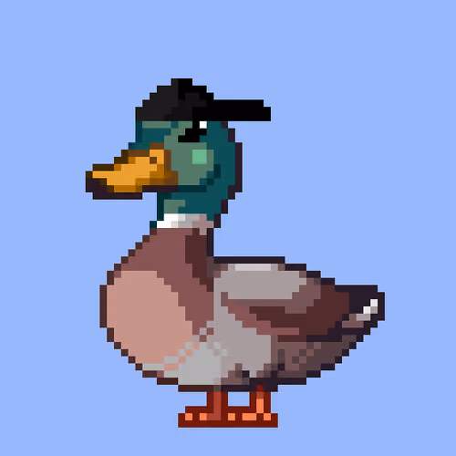 Mallard #6580