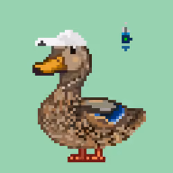 Mallard #2544
