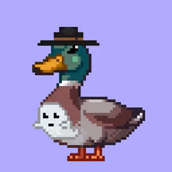 Mallard #9564