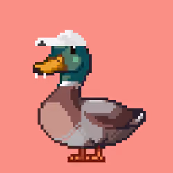 Mallard #1139