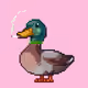 2246