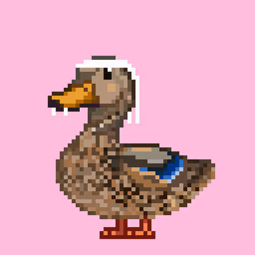 Just Mallards