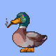 7196