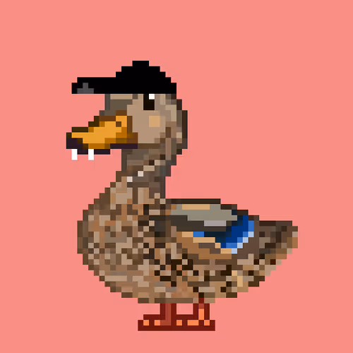 Just Mallards