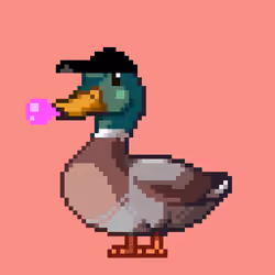 Mallard #7624