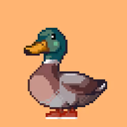 Mallard #4099