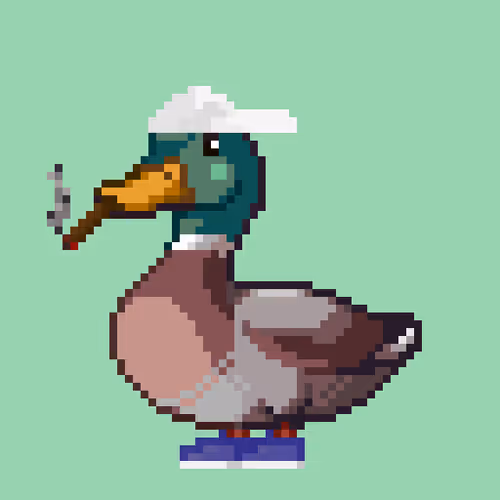 Just Mallards