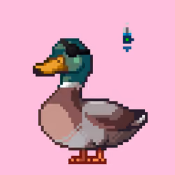 Mallard #3292