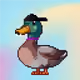 622