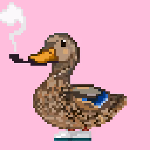 Mallard #2778