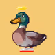 6621
