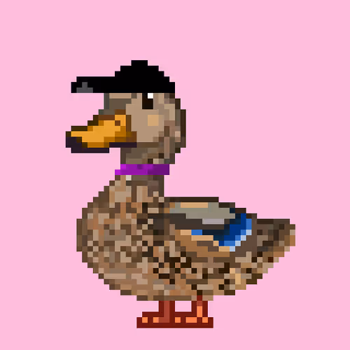 Just Mallards
