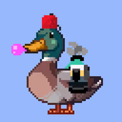 Mallard #6823