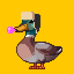 Mallard #6568