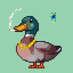 Mallard #6729