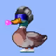 5203