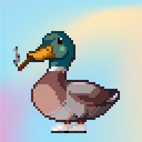 Just Mallards