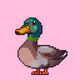 2497