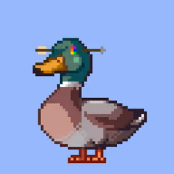 Mallard #8566