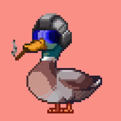 Mallard #2868