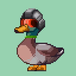 Mallard #5545