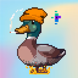 Mallard #3551