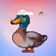 8138