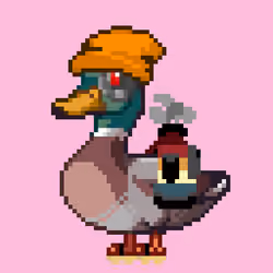 Mallard #1810