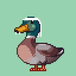 Mallard #4883