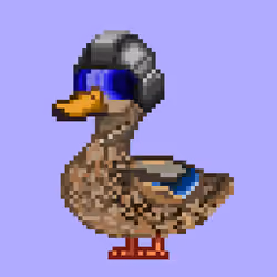 Mallard #1211
