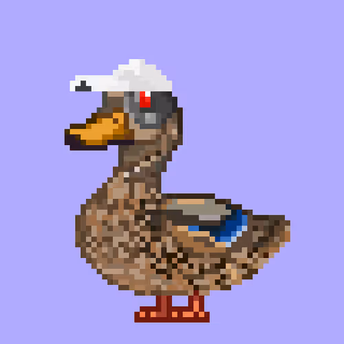 Just Mallards