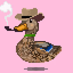 Mallard #4855