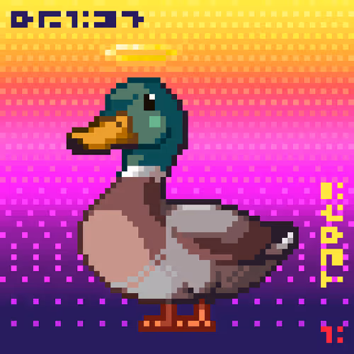 Just Mallards