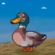 5269