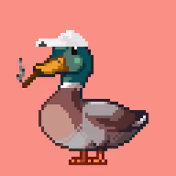 Mallard #5030