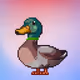 5061