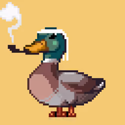 Mallard #9299
