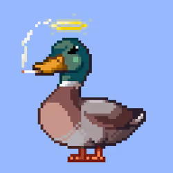 Mallard #7682
