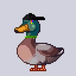 Mallard #2653