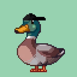 Mallard #3957