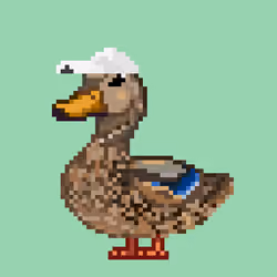 Mallard #1406