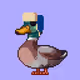 4037