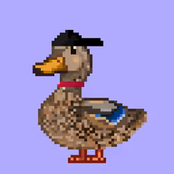 Mallard #5569