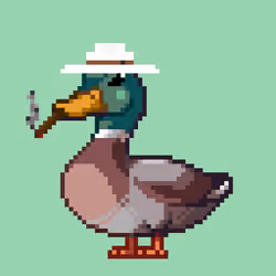 Mallard #9378