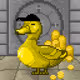 466