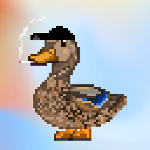 Mallard #763