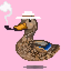 Mallard #7989