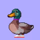 7082