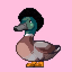 Mallard #5975