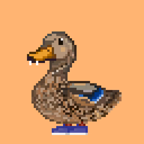 Just Mallards